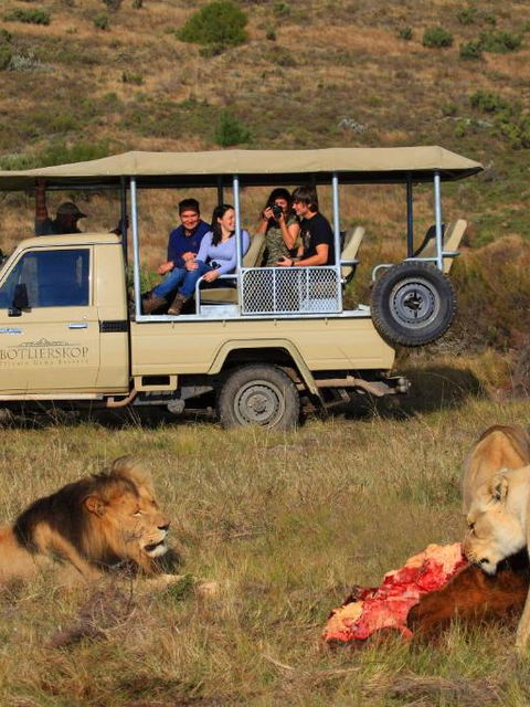 Game Drives