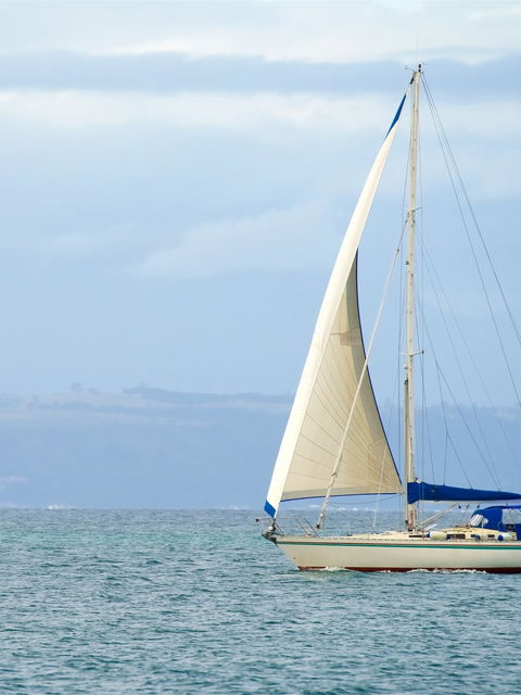 Yacht Trips
