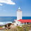 Mossel Bay: The Coastal Jewel of the Garden Route
