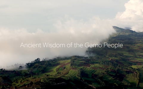 Video 6 - South of Ethiopia