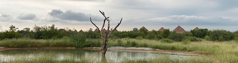 Rustic Comfort Meets Wilderness