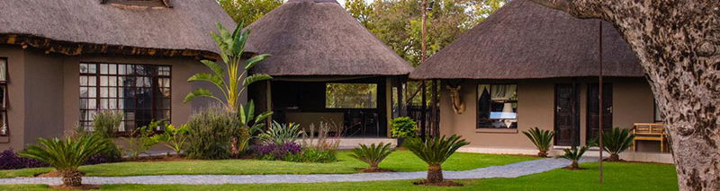 A True Bushveld Experience