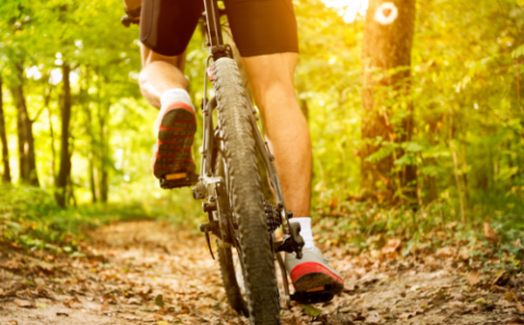Mountain Biking