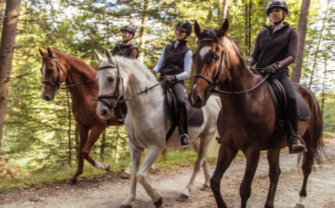 Horseback Riding