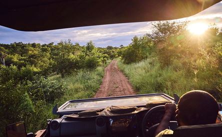 4-Nächte-Paket: Eintauchen in die Wildnis Südafrikas