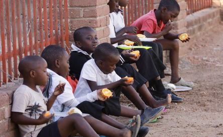 Balule Outreach Trust