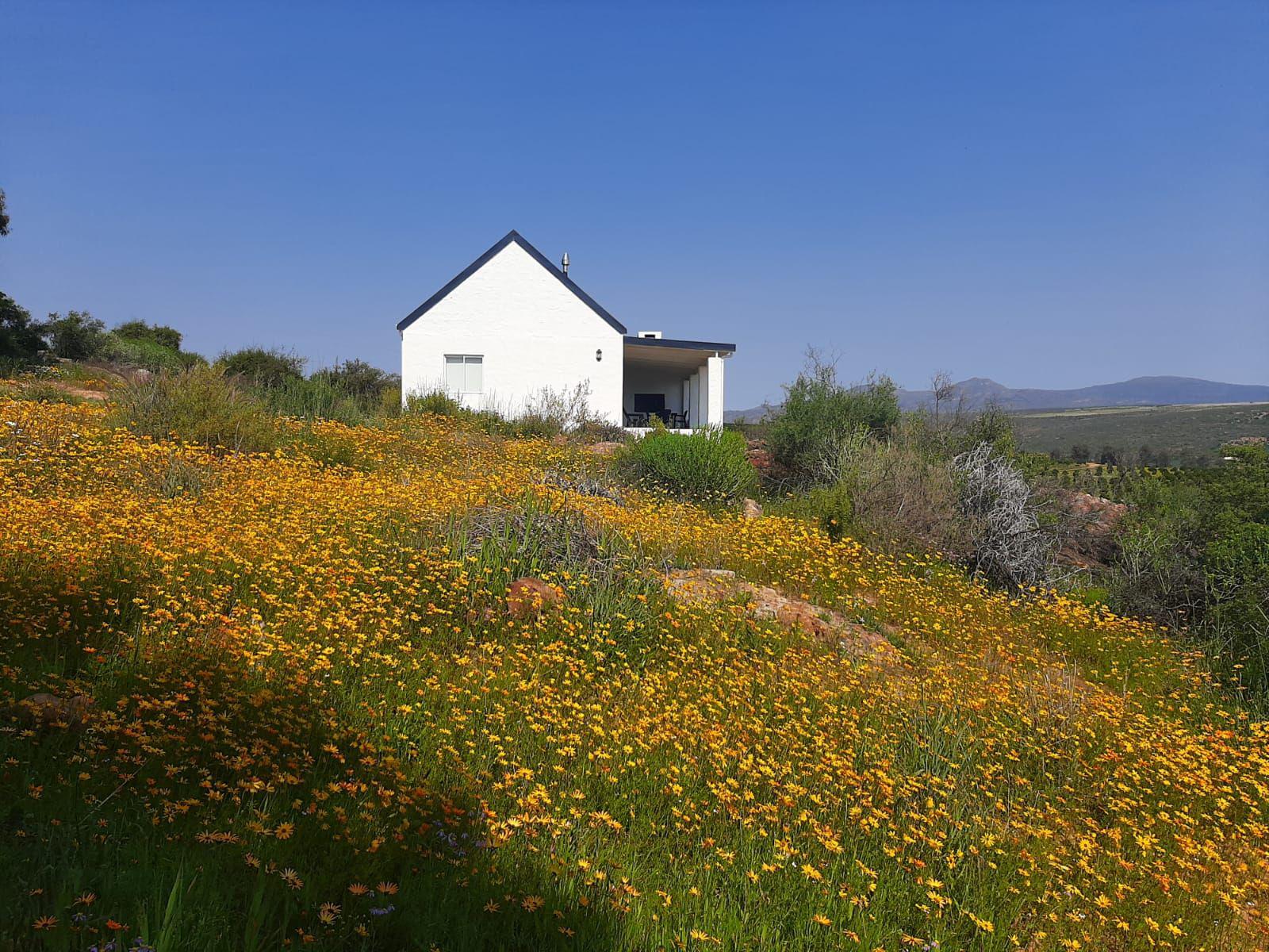 Your farm stay in the Cederberg