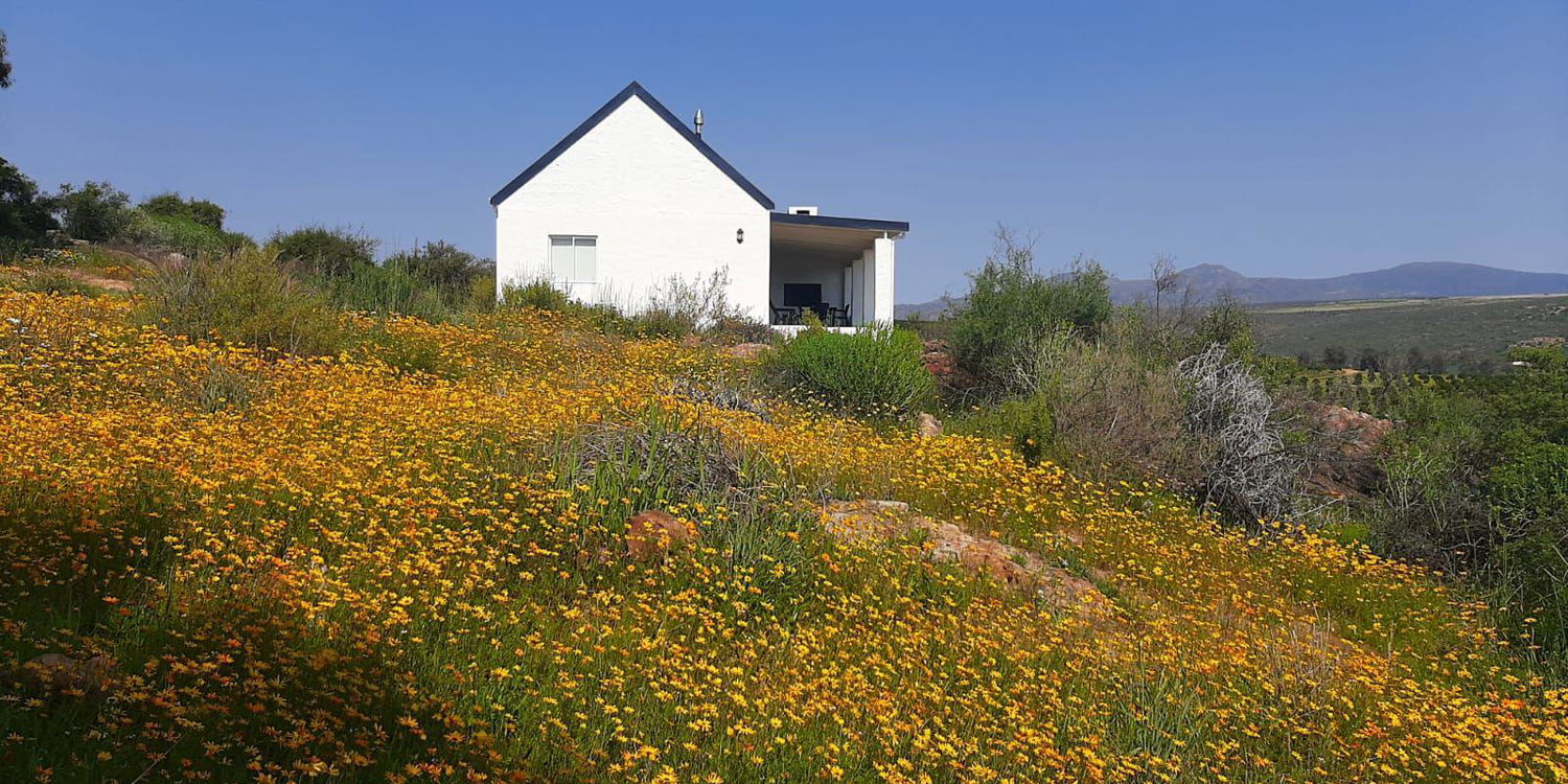 Your farm stay in the Cederberg