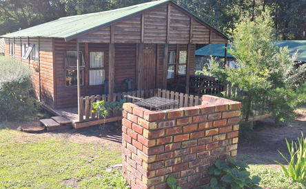 Banana - Standard Family Cabin