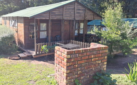 Banana - Standard Family Cabin