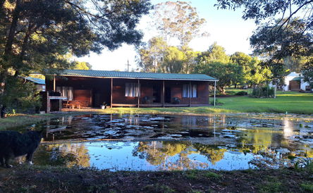 Lemon - Large Family Cabin