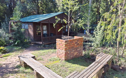 Olive - Standard Family Cabin