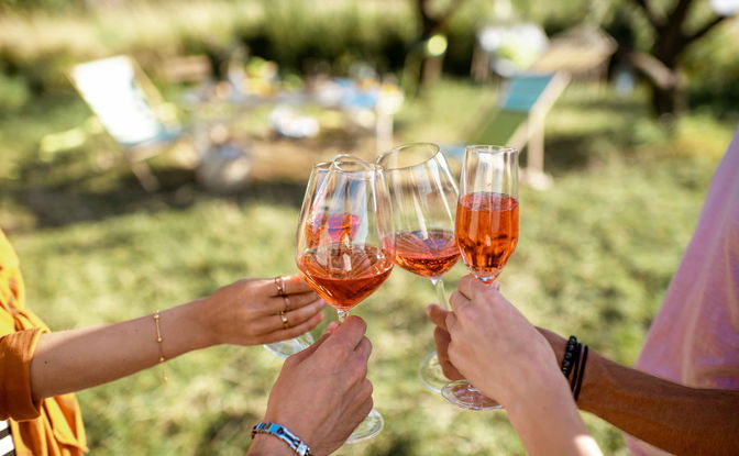 Explore the Best of Paarl and Beyond