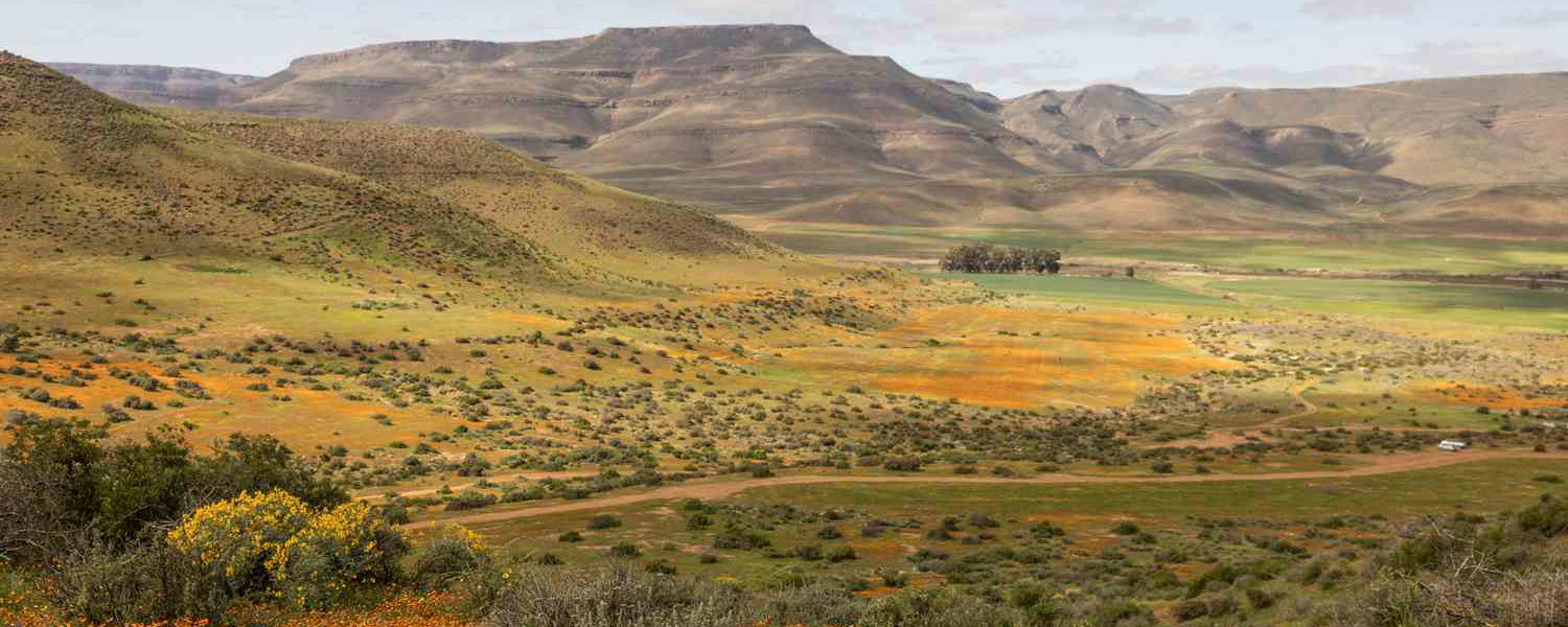 Namaqualand’s Story