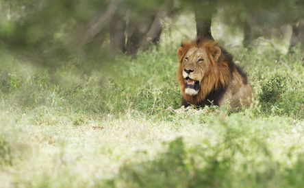 Cultural 3 Night package (Malelane/Mzinti)