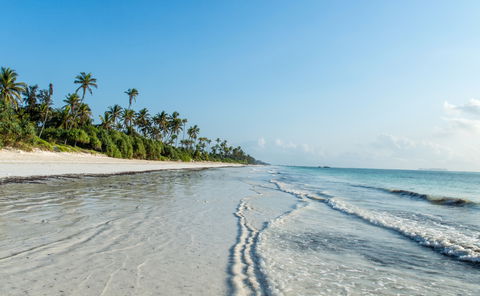 Island Experiences and Attractions