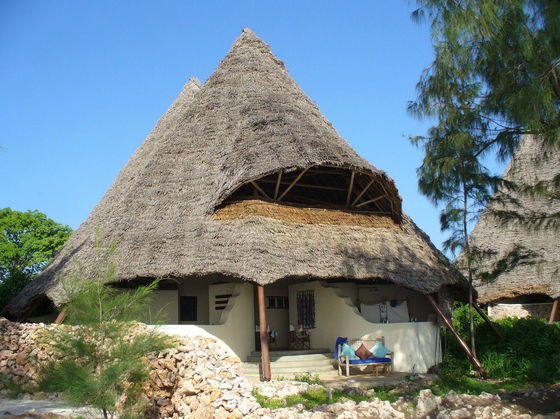 Large conical thatched-roof tropical hut in Zanzibar with twin peaks, white curved stucco lower walls, shaded open porch with blue-cushioned wooden bench, low coral-stone wall and small trees in foreground under clear blue sky