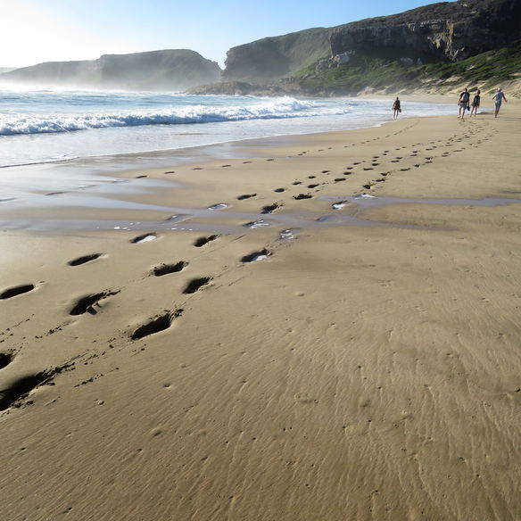 Explore the Garden Route