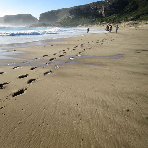 Explore the Garden Route