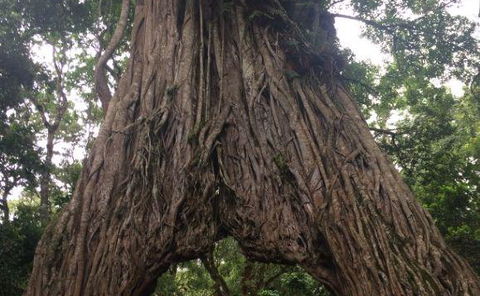 Arusha National Park