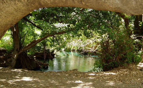 Kikuletwa Hotsprings