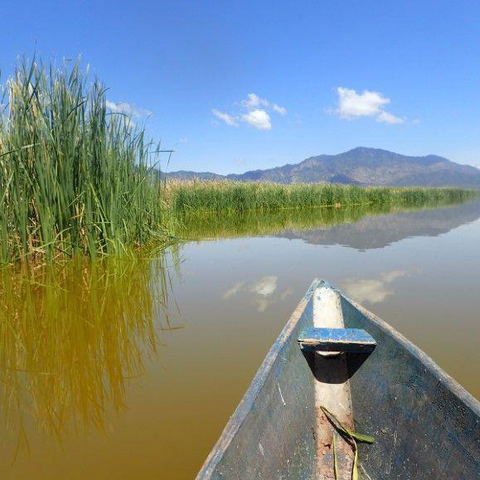 Bow of a weathered blue canoe gliding on calm brown water toward tall marsh reeds and distant mountains under a clear blue sky with reflections — Lake Jipe Day trip