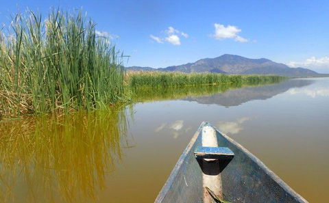 Bow of a weathered blue canoe gliding on calm brown water toward tall marsh reeds and distant mountains under a clear blue sky with reflections — Lake Jipe Day trip