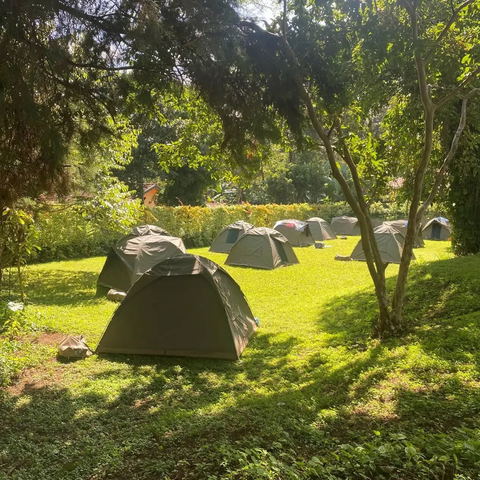 Camping