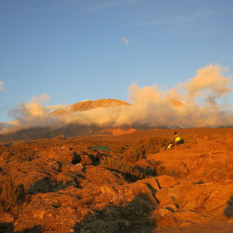 Lemosho Route