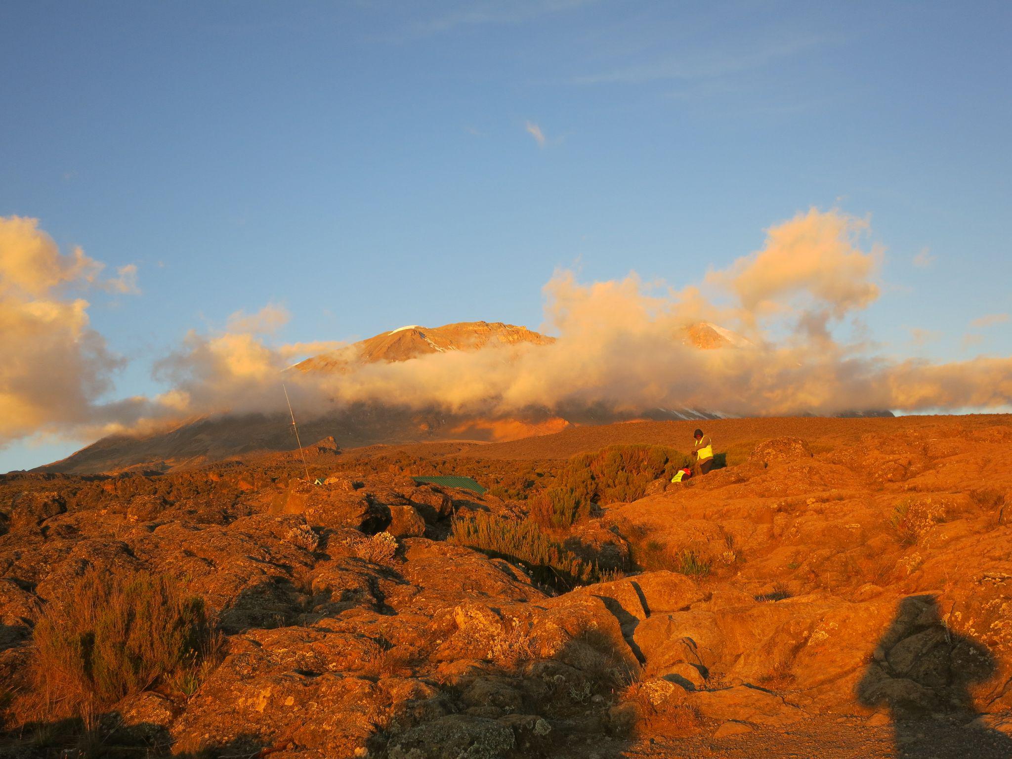 Lemosho Route Trek