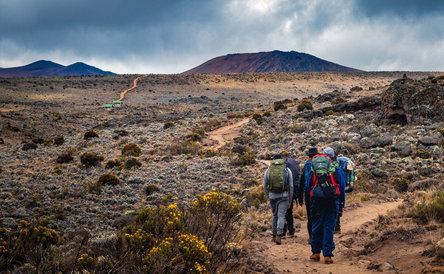 Marangu 5 Day Climb (TBC)