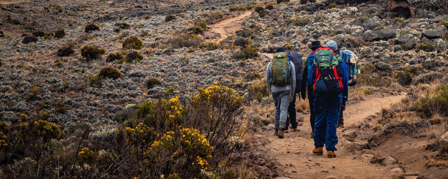 Scene on the Marangu Route.