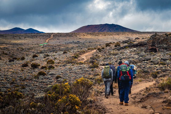 Scene on the Marangu Route.