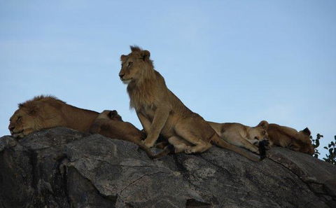 Serengeti National Park