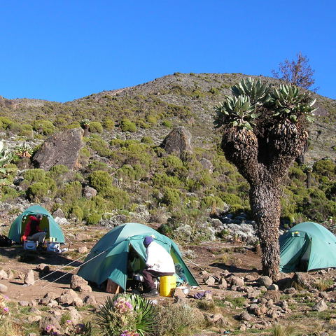 Umbwe Route