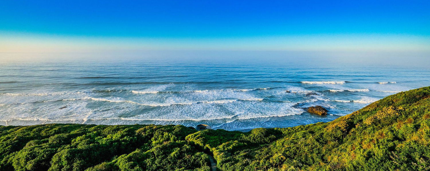 Uncover the Wonders of Wilderness