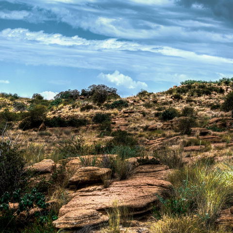 Cradle of Humankind