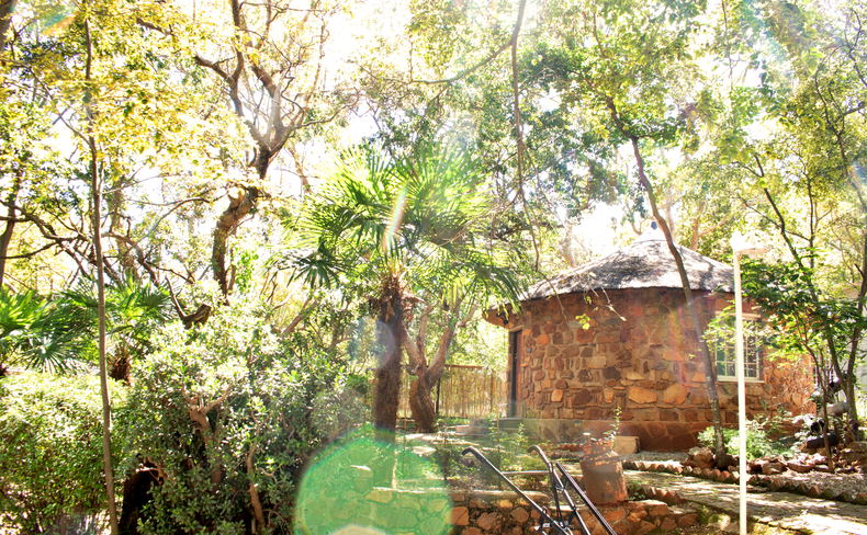 Garden view at the guest cottages of Rising Rocks Farm in Magaliesburg South Africa