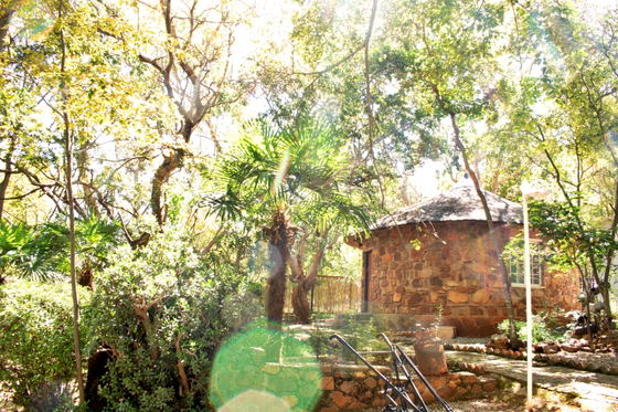 Garden view at the guest cottages of Rising Rocks Farm in Magaliesburg South Africa