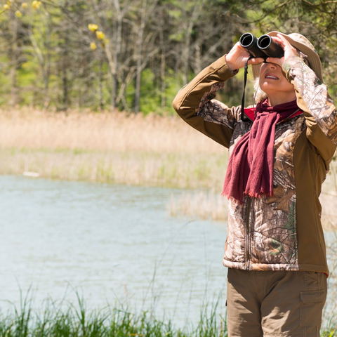 Bird watching