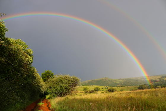 Mountain view at the guest cottages of Rising Rocks Farm in Magaliesburg South Africa