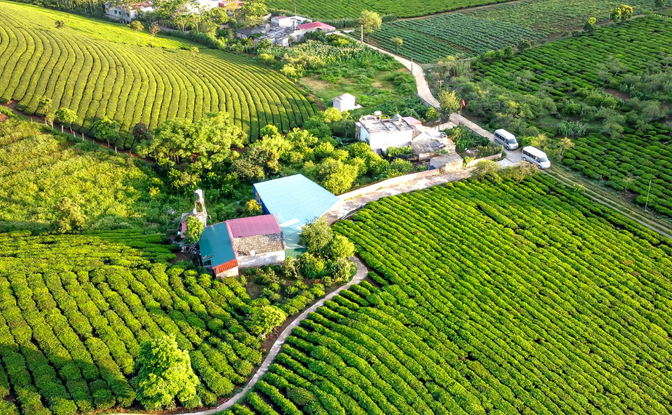 Seamless Travel, Tailored Experiences