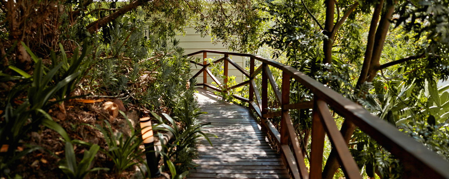 Your Tree-Top Retreat Awaits