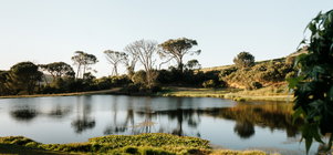Winter Deal Extended: Get 20% Off Your Stay until 20 September 2026!