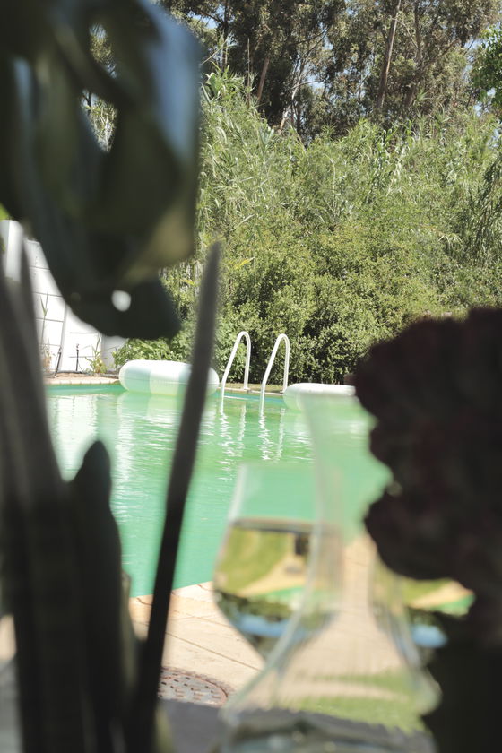 The Robertson Manor pool