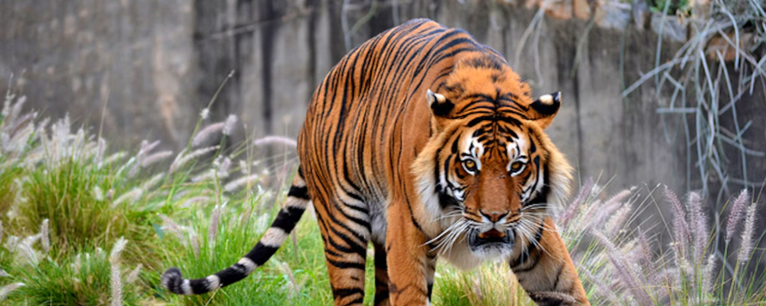 Create Lasting Memories