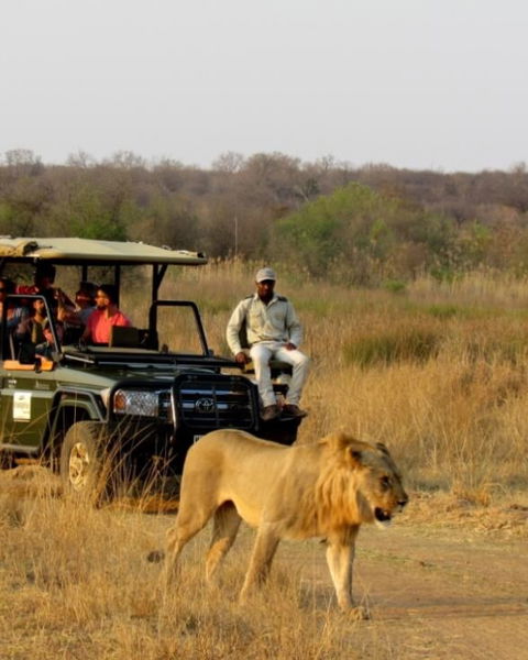 Adventure and Relaxation in the Heart of Dinokeng