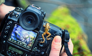 Film & Still Shoots at KwaThabisile