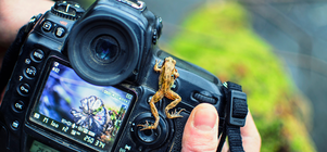 Film & Still Shoots at KwaThabisile