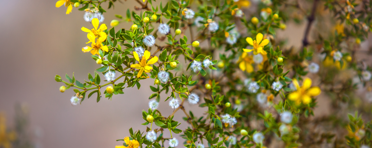 Easy Access from Major Airports